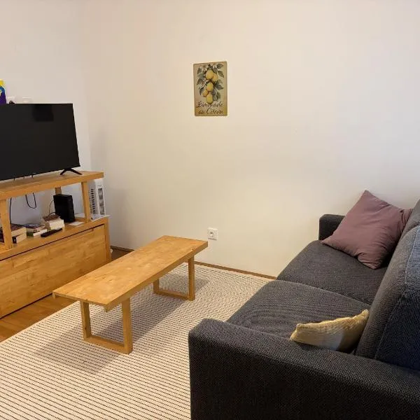 그라츠에 위치한 호텔 Cozy Apartment