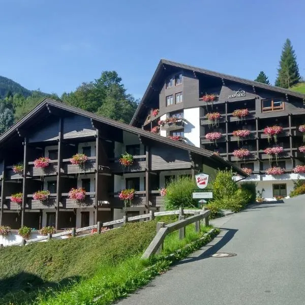 Alpenlandhof, отель в городе Бад-Клайнкирххайм