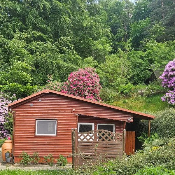 Ferienhaus in Geesthacht-Tesperhude direkt am Waldrand, hotel v destinaci Geesthacht