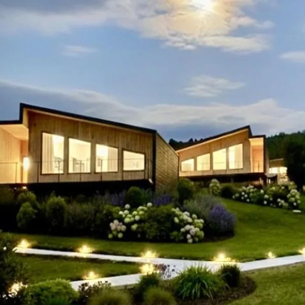 Volcano Suites, Hotel in Puyehue