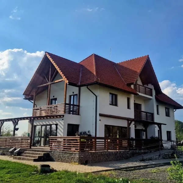Viesnīca Casa Comilor pilsētā Şurdeşti