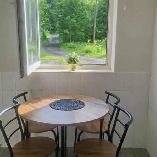 Útulný byt v Jizerských horách -Apartmán Mili, hotel di Kořenov