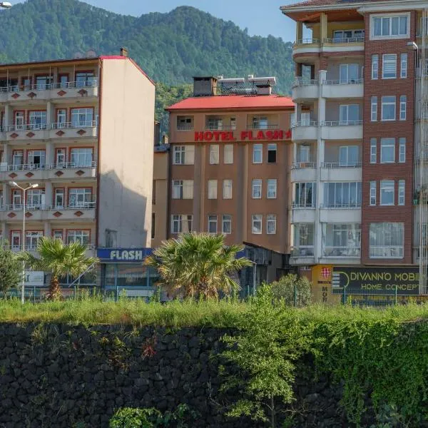 otel flash, hotel en Artvin