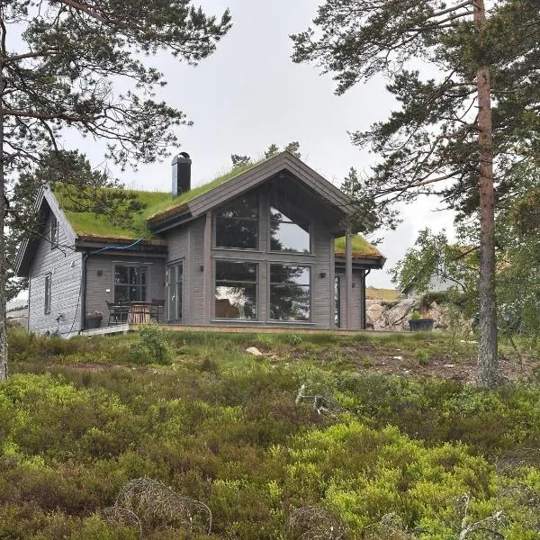Moderne Fjellhytte Gautefall med Utsikt, hotel sa Drangedal