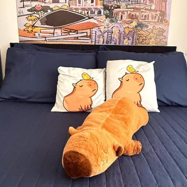 Studio Moderno no Coração de Curitiba Temático Capivara - Foto 2