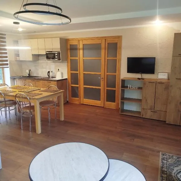 Apartamentai Luna, отель в Паневежисе