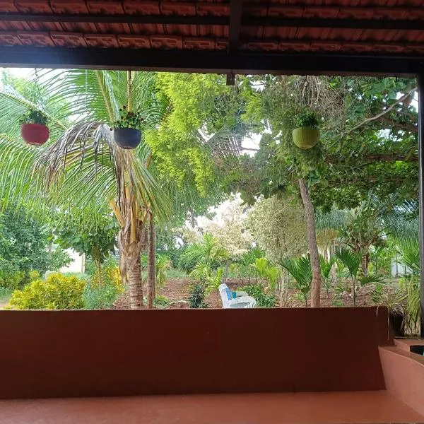 Lilly Areca Farm photo 2
