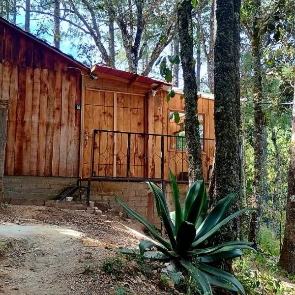 Cabaña Nido de Niebla en San José del Pacífico, hotel en San Jose del Pacifico