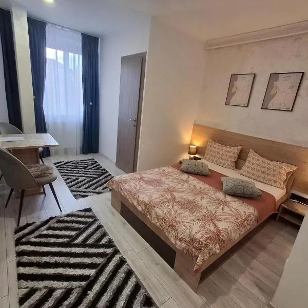 Studio Elvetia, hotel din Deva