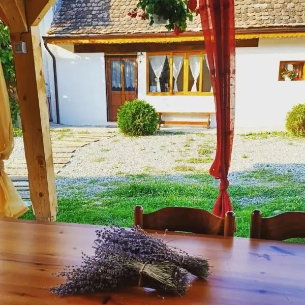 Chalet Giuel, hôtel à Bărcuţ