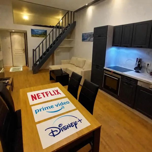 Grand studio avec mezzanine, hotel Voironban