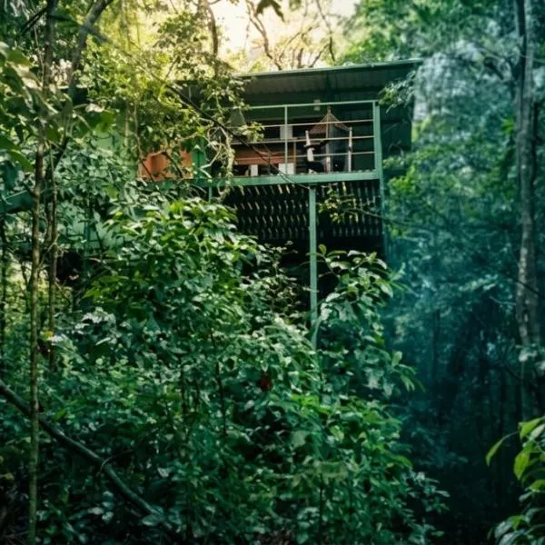Jungle Living Tree Houses, hotelli Monte Verdessä
