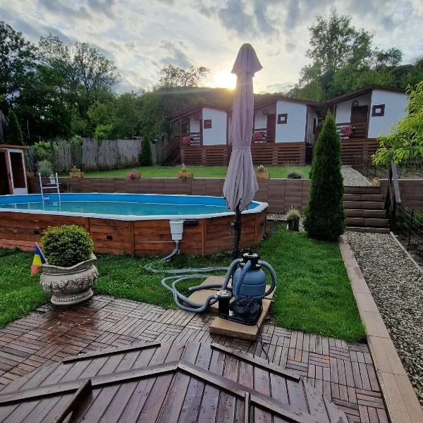 Flori Haus Saschiz, hôtel à Saschiz