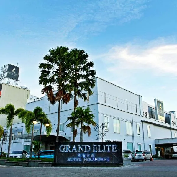 Grand Elite Hotel Pekanbaru, отель в городе Пеканбару