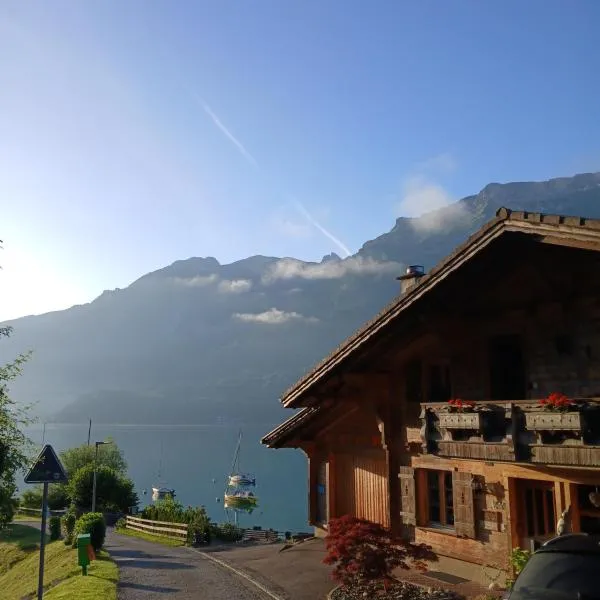 Chalet Diana Lakefront, hotel in Ringgenberg