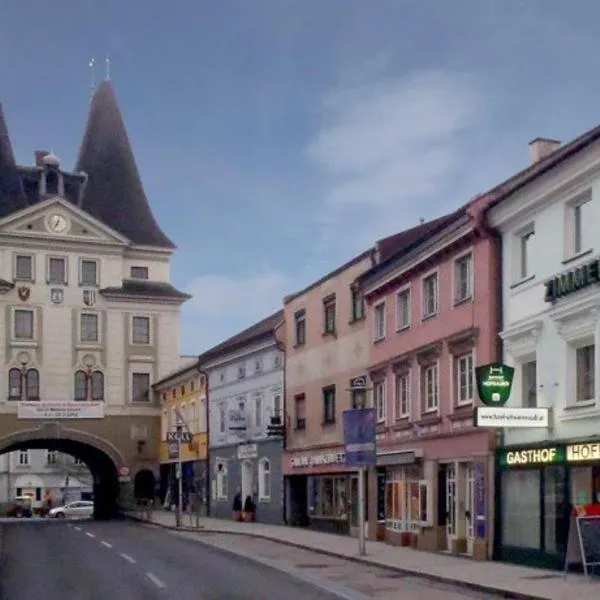 Gasthof Hofbauer, hotel en Wolfsegg am Hausruck