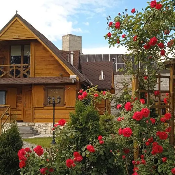 NOCLEGI KAMEX dom 12-osobowy, hotel in Olsztyn