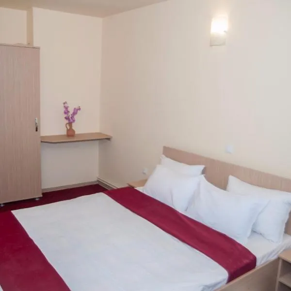 Dumbrava Minunata, מלון בבראשוב