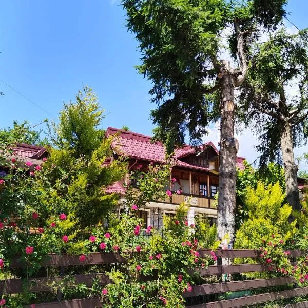 Casa de vacanta 1001 De Nopti, Hotel in Corbşori