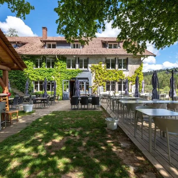 Logis Hôtel la Vigotte, hotel v destinaci Girmont-Val-dʼAjol