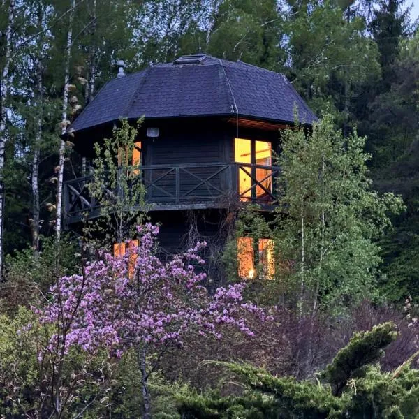 wietrzna wieża, hotel v destinácii Czarna Wieś