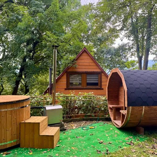 Willa Drewniany Zakątek - domek z sauną i balią, hotel u gradu 'Międzybrodzie Bialskie'