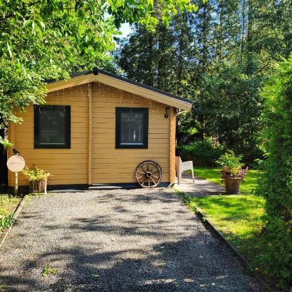 Charmant, gezellig en knus 5p chalet op Veluwe naast Sauna Drome, Hotel in Putten