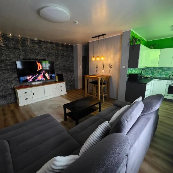 Green- Guest Apartment- Tapa – hotel w mieście Tapa