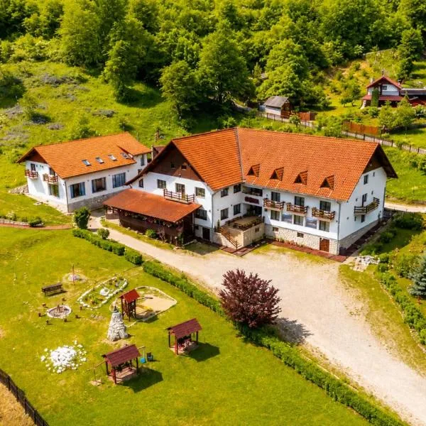 Pensiunea Sub Piatră, Hotel in Sălciua de Sus