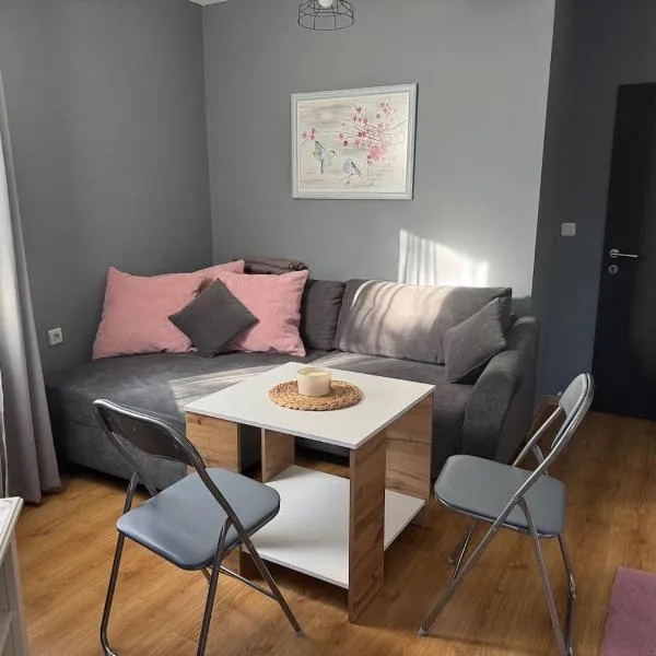Cosy and comfy Great location one BDR flat, viešbutis mieste Stara Zagora