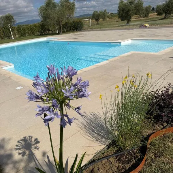 Il giardino di nunzia, hotel i Principina Terra