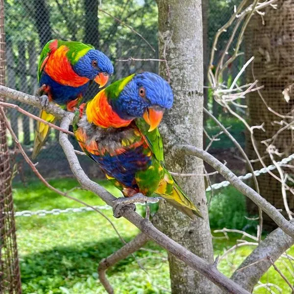 Suite Aracari, clim, balneo, terrasse - Parc des Oiseaux, Hotel in Villars-les-Dombes