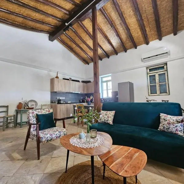 Traditional house near Troodos for families and nature lovers!, hotel in Nicosia