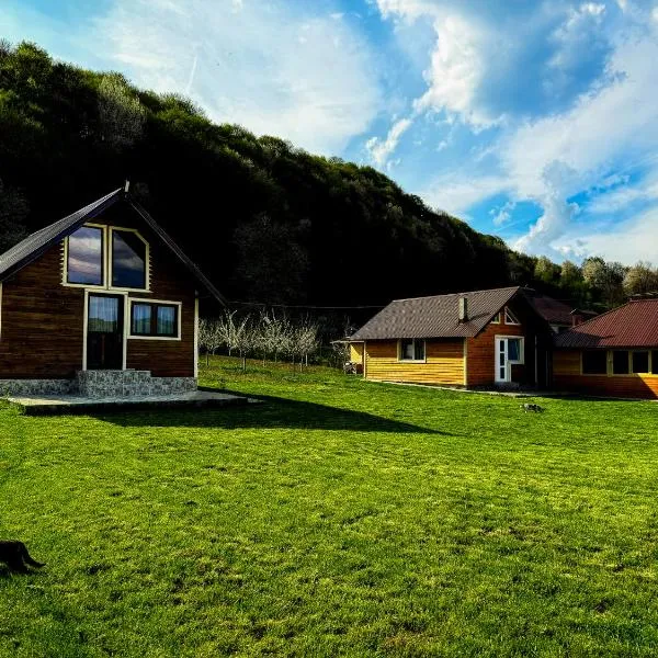 Livada Bunicilor, hotel in Zamfireşti