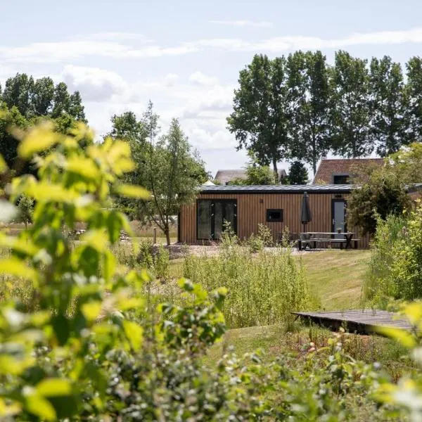 De Eend - Tiny house in de Zeeuwse Natuur, Hotel in Driewegen