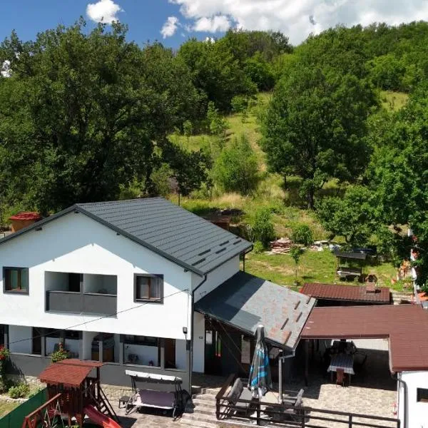 Casa Andrei, hotel a Eşelniţa