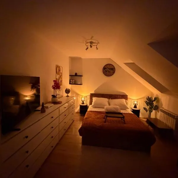 Apartament Comfort 1, Smart TV, WiFi, Aneks Kuchenny, hotel u gradu 'Świebodzin'