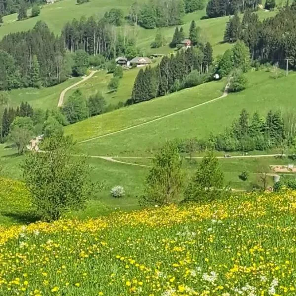 Ferienwohnung im Schwarzwald mit Blick ins Grüne und Balkon, hotel a Schönwald