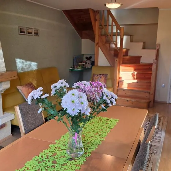 Large apartment with private entrance, balconies, sauna, hotel en Tallin