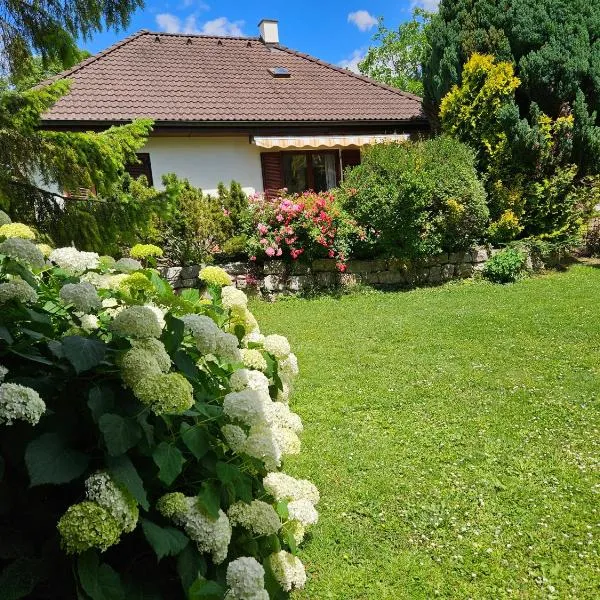 House near castle park, hotel in Eisenstadt