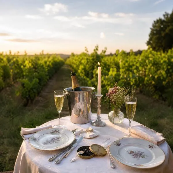 Mas L EPICURE- Charming Provence B&B, Apartment, Pool & Vines, hotel i Vacqueyras