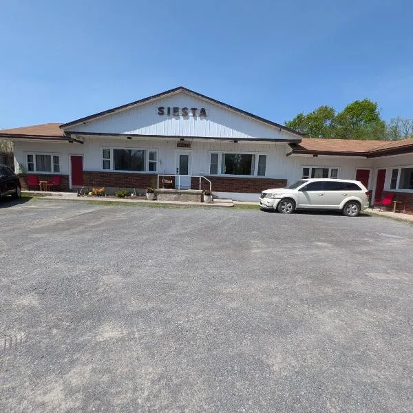 Siesta Roadside Inn & Suites Kingston, Hotel in Kingston