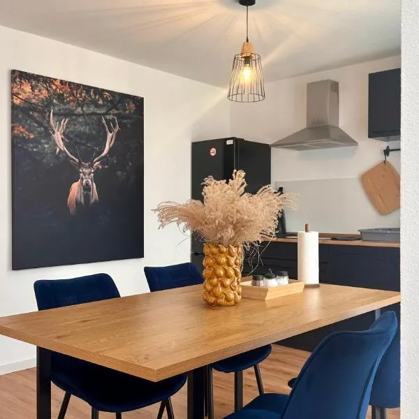 AMAO-Indigo - Business Apartment - Balcony - Parking, מלון באופנבורג