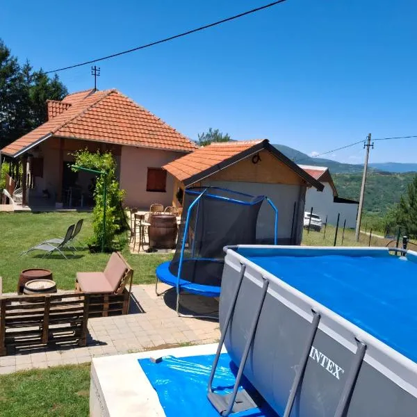 Vikendica i apartman HS, hotel u Pirotu