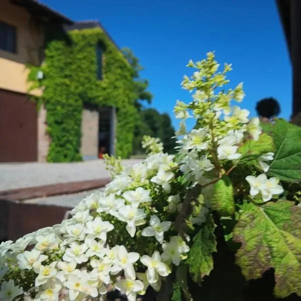 Casa Rifugio Parma, khách sạn ở Basilicanova