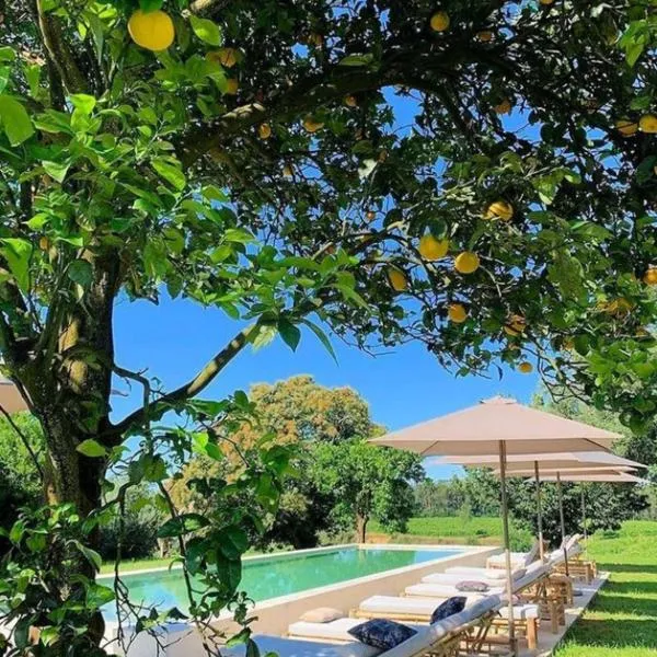 Terra Rosa Country House & Vineyards – hotel w mieście Ponte de Lima