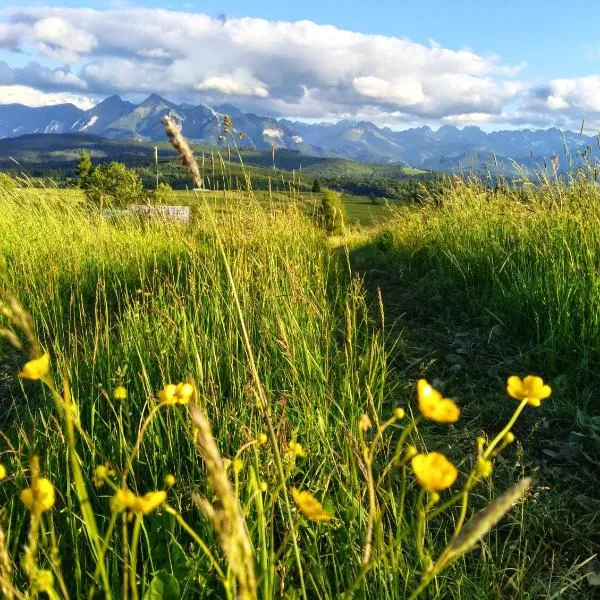 Widlakówka, khách sạn ở Rzepiska