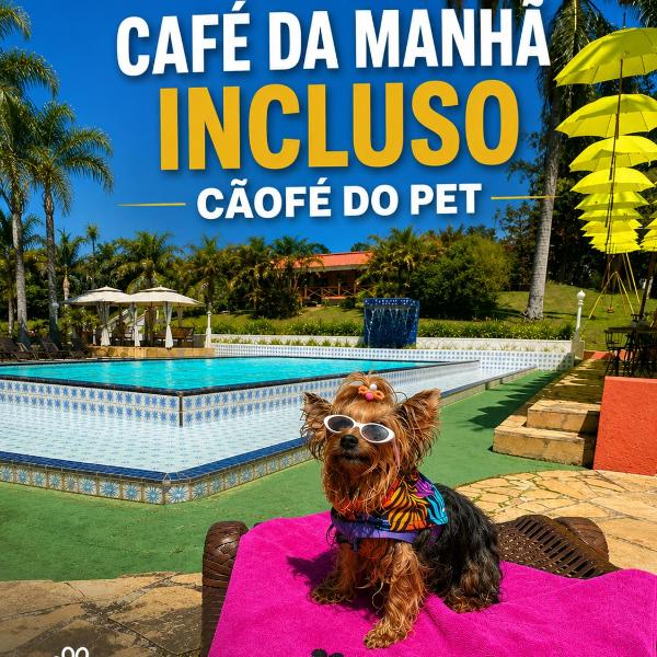 Pousada Serra das Araucárias - PetFriendly