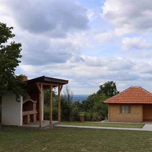 Golden View Vis, hotel di Lazarevac