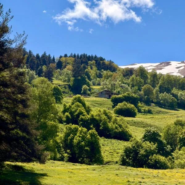 Vasos Home, hotel u gradu Tusheti